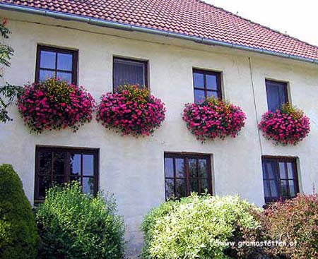 24-Asenbaum-Breuer
